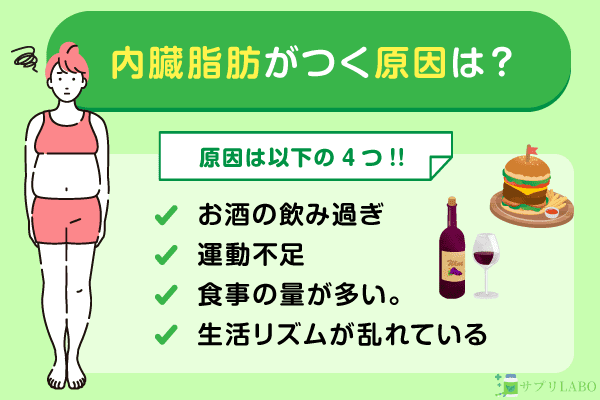 内臓脂肪がつく原因は？