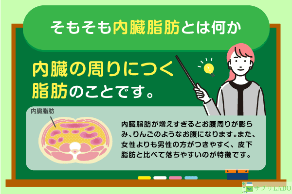 そもそも内臓脂肪とは何か？