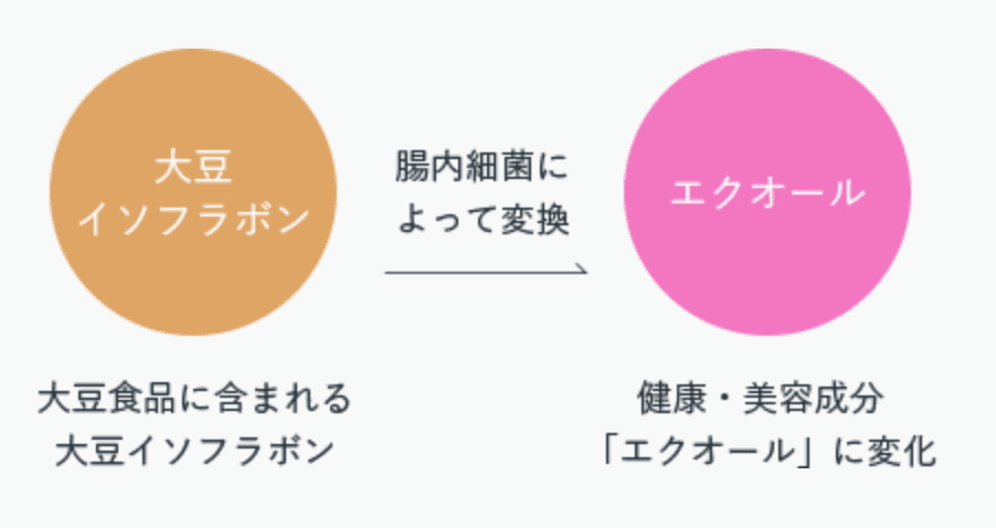 エクエルは効果ないって口コミの真相は？本当の口コミを調査して実態を解明します