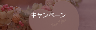 キャンペーン