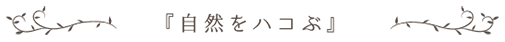 labobgtitle