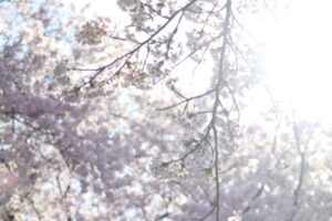 紫外線対策、はじめていますか？