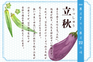 二十四節季でみる『養生便り』