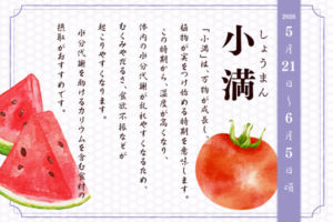 二十四節季でみる『養生便り』