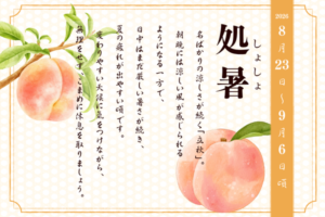 二十四節季でみる『養生便り』