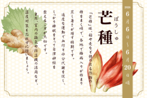 二十四節季でみる『養生便り』