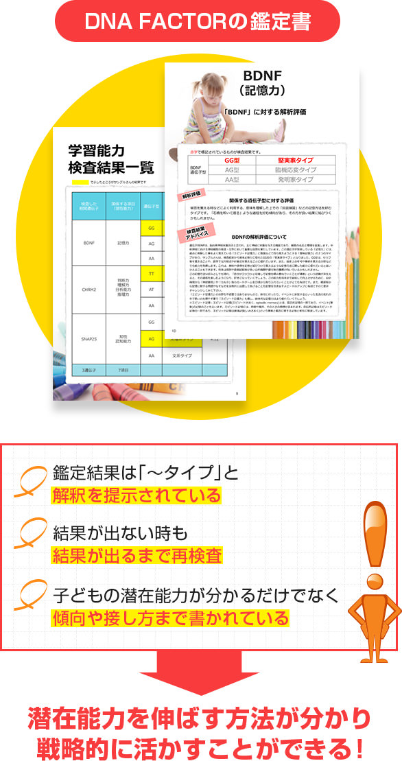 鑑定書の比較
