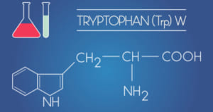 トリプトファン